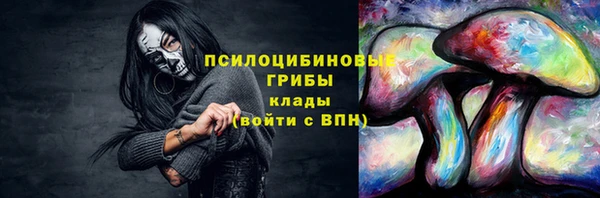 шишки Алексин