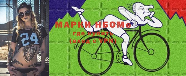 шишки Алексин
