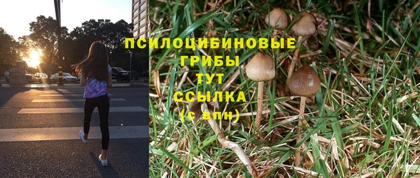 трава Абдулино