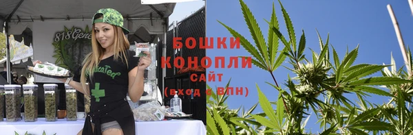 соль ск Арсеньев