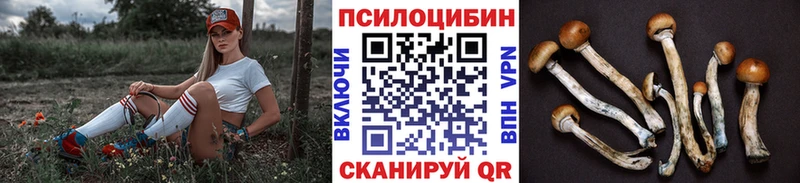 магазин  наркотиков  Челябинск  Галлюциногенные грибы MAGIC MUSHROOMS 